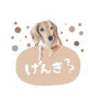 もこれん♡（個別スタンプ：1）