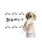 もこれん♡（個別スタンプ：2）