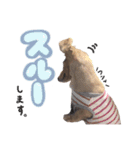 もこれん♡（個別スタンプ：3）