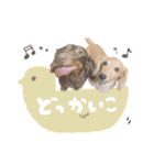 もこれん♡（個別スタンプ：11）