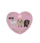 もこれん♡（個別スタンプ：13）
