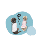もこれん♡（個別スタンプ：14）