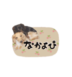 もこれん♡（個別スタンプ：15）