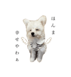 ととろくんのせいかつ（個別スタンプ：1）
