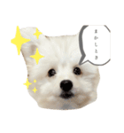 ととろくんのせいかつ（個別スタンプ：2）