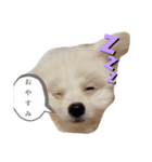 ととろくんのせいかつ（個別スタンプ：4）