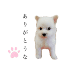 ととろくんのせいかつ（個別スタンプ：5）