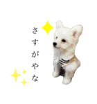 ととろくんのせいかつ（個別スタンプ：10）