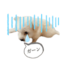 ととろくんのせいかつ（個別スタンプ：11）