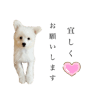 ととろくんのせいかつ（個別スタンプ：12）
