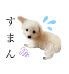 ととろくんのせいかつ（個別スタンプ：13）