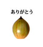 木の実 どんぐり と 文字（個別スタンプ：2）