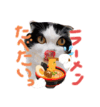 中村家の愉快な仲間たち！（個別スタンプ：1）