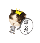 中村家の愉快な仲間たち！（個別スタンプ：4）