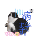 中村家の愉快な仲間たち！（個別スタンプ：5）