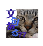 中村家の愉快な仲間たち！（個別スタンプ：6）