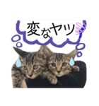 中村家の愉快な仲間たち！（個別スタンプ：8）