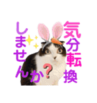 中村家の愉快な仲間たち！（個別スタンプ：13）