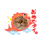 中村家の愉快な仲間たち！（個別スタンプ：15）