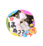 中村家の愉快な仲間たち！（個別スタンプ：16）