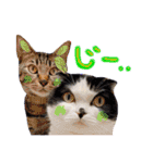 中村家の愉快な仲間たち！（個別スタンプ：18）