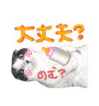 中村家の愉快な仲間たち！（個別スタンプ：19）