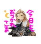 中村家の愉快な仲間たち！（個別スタンプ：20）