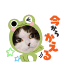 中村家の愉快な仲間たち！（個別スタンプ：22）