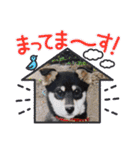 中村家の愉快な仲間たち！（個別スタンプ：27）