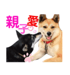 中村家の愉快な仲間たち！（個別スタンプ：31）