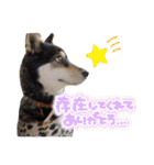 中村家の愉快な仲間たち！（個別スタンプ：32）