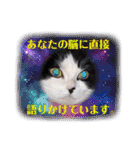 中村家の愉快な仲間たち！（個別スタンプ：34）