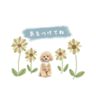 ビションプー花（個別スタンプ：7）