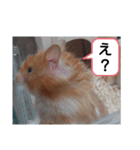 ハムスターのつぶやき（個別スタンプ：4）