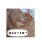 ハムスターのつぶやき（個別スタンプ：14）