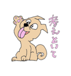 犬のご挨拶。（個別スタンプ：8）