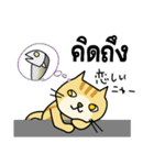 タイ語 ネコ＆蒸し魚版（個別スタンプ：3）