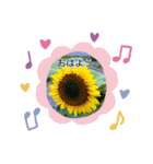 お花が好き〜（個別スタンプ：1）