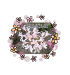 お花が好き〜（個別スタンプ：3）