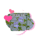 お花が好き〜（個別スタンプ：4）