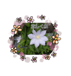 お花が好き〜（個別スタンプ：5）