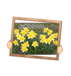 お花が好き〜（個別スタンプ：8）
