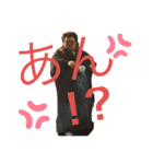 もつしみのスタンプ（個別スタンプ：10）