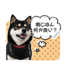 黒柴犬 の♡メッセージ♡スタンプ01 豆柴（個別スタンプ：7）