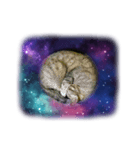 宇宙バージョン瑪瑙（個別スタンプ：8）