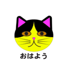 きらきらねこちゃん（個別スタンプ：3）