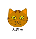 きらきらねこちゃん（個別スタンプ：15）