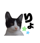 ソラモネ（個別スタンプ：3）