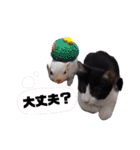 ソラモネ（個別スタンプ：8）