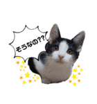 ソラモネ（個別スタンプ：9）